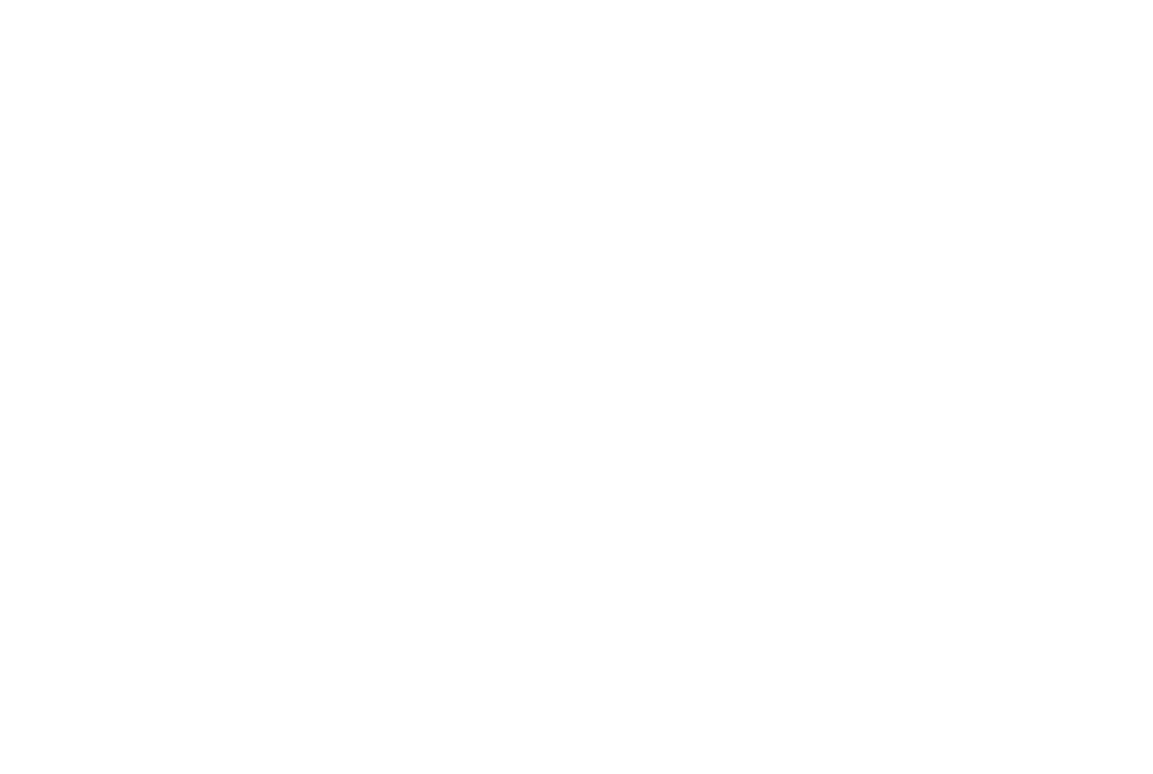 The Trews Logo